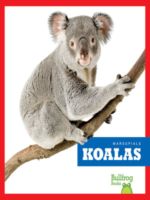 cover image of Koalas